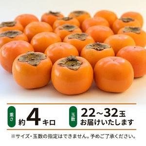 SZ0326　庄内柿　約4kg(22～32玉入)