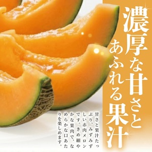 SA2883　庄内赤肉メロン　約5kg(3玉入)