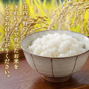 SA2914 令和7年産【精米】はえぬき 5kg(5kg×1袋) GS