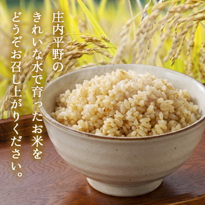 SA2915 令和7年産【玄米】はえぬき 5kg(5kg×1袋) GS