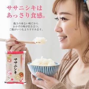 SA2941　令和7年産【精米】ササニシキ　5kg(5kg×1袋) JS