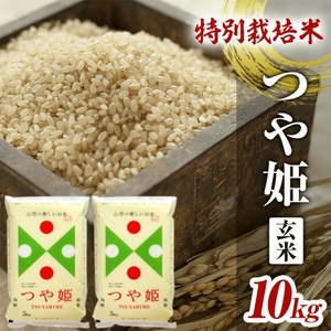 SA1302 令和3年産【玄米】特別栽培米 つや姫10kg(5kg×2袋) YA