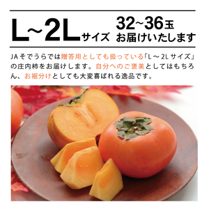 SA2881　庄内柿　約7.2kg(32～36玉入)　L～2Lサイズ