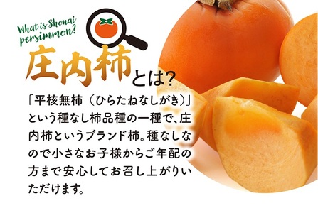 SA2881　庄内柿　約7.2kg(32～36玉入)　L～2Lサイズ