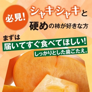 SA2881　庄内柿　約7.2kg(32～36玉入)　L～2Lサイズ