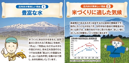 SB0562　令和6年産【精米】庄内米2種食べ比べ つや姫、雪若丸　計10kg(5kg×2袋) JM