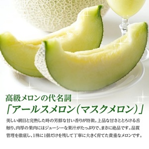 SA2826　アールスメロン 大玉　3.2kg以上(2玉入) つる付き