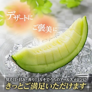 SA2826　アールスメロン 大玉　3.2kg以上(2玉入) つる付き