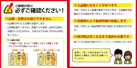 SA2353　六代多右エ門　西洋梨 おまかせ3品種　約3kg(8～9玉) 化粧箱入