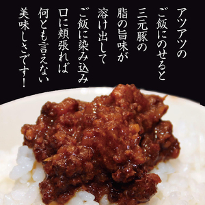 SZ0246　【平田牧場三元豚使用】ご飯にかける生姜焼き　計2個(80g×2個)