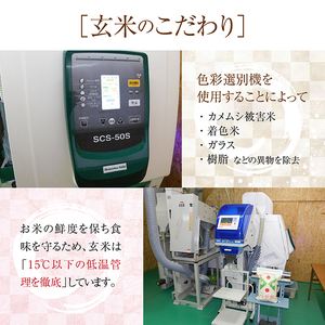 SD0181　令和7年産【玄米】特別栽培米つや姫　10kg(5kg×2袋)「農家直送」 KA