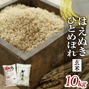 SA1486 令和4年産【玄米】一等米 はえぬき、ひとめぼれ 計10kg(5kg×2袋) YA