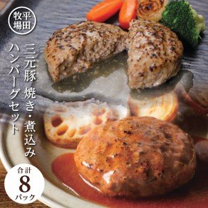 SA0546　日本の米育ち　三元豚調理済みハンバーグセット
