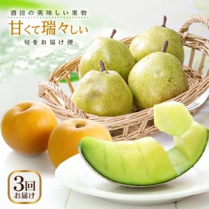 SE0162 【3回定期便】酒田の美味しい果物! 甘くて瑞々しい旬をお届け便(アールスメロン・刈屋梨・ラ・フランス)