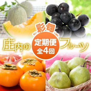 SF0093 【4回定期便】庄内の“彩旬フルーツ”マルッとお届け便 (紅花メロン、ピオーネ、庄内柿、ラ・フランス)