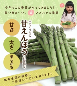 SB0644　グリーンアスパラガス　砂丘育ちの「甘えんぼう」　1.3kg