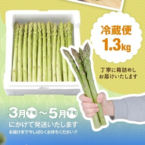SB0644　グリーンアスパラガス　砂丘育ちの「甘えんぼう」　1.3kg