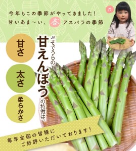 SC0566　グリーンアスパラガス　砂丘育ちの甘えんぼう DX(デラックス)4Lサイズ　1kg