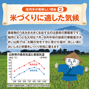 SB0559　令和6年産【精米】庄内産 はえぬき　10kg(5kg×2袋) JM