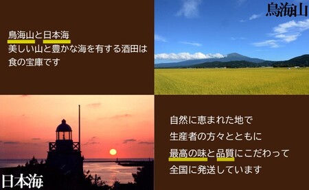 SA2924 酒田の果物専門店厳選 庄内砂丘 アンデスメロン大玉 3kg以上(2玉入)