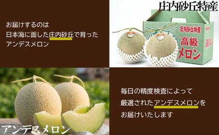 SA2924 酒田の果物専門店厳選 庄内砂丘 アンデスメロン大玉 3kg以上(2玉入)