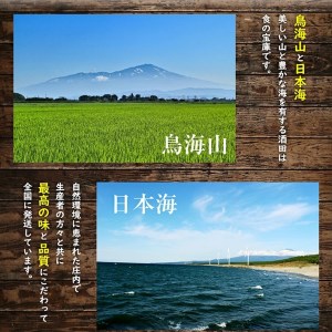 SA2926　酒田の果物専門店厳選　刈屋産 幸水梨　約3kg(7～9玉入)