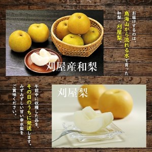 SC0687 酒田の果物専門店厳選 刈屋産 幸水梨 約5kg(10~16玉入)