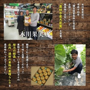 SC0687 酒田の果物専門店厳選 刈屋産 幸水梨 約5kg(10~16玉入)