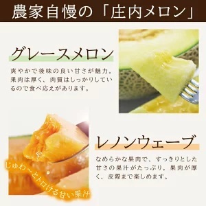 SA2873　庄内メロン　グレース、レノンウェーブ　約3kg　計2玉(青肉・赤肉各1玉)