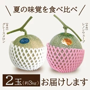 SA2873　庄内メロン　グレース、レノンウェーブ　約3kg　計2玉(青肉・赤肉各1玉)