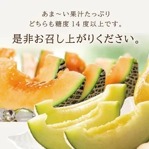 SA2873　庄内メロン　グレース、レノンウェーブ　約3kg　計2玉(青肉・赤肉各1玉)