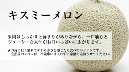 SA2102　庄内砂丘特産 「秀品 真夏のキスミーメロン」　約5kg(青肉/4～6玉入)