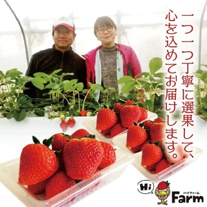 SA2813 Hi-Farmの完熟いちご 約260g×4パック