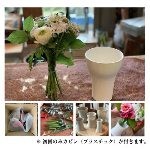 SL0228　【12回定期便】毎月お花を飾ろう 「うちハナキット 12」
