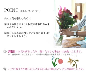 SL0236　【12回定期便】毎月バラを飾ろう 「バラのある生活 12」