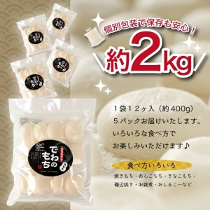 SB0751 でわのもち 丸もち60個(12個入×5パック) AG