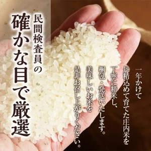 SA1853　令和5年産【精米】特別栽培米 つや姫　10kg(5kg×2袋) SA