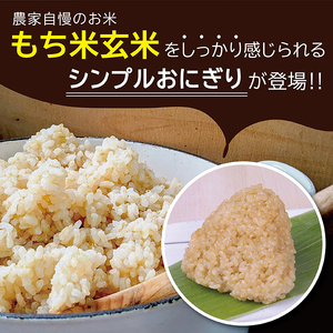 SA0876 もち米 玄米おにぎり プレーン20個