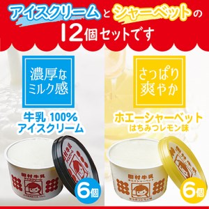 SA0895　庄内平野のおいしいアイスクリームセット　計12個(2種/各6個)【田村牛乳】