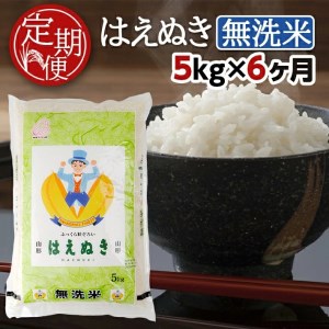 SH0022　【6回定期便】無洗米 はえぬき　5kg×6回(計30kg) TO