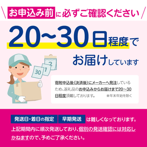SA2382 花王バブ ラベンダーの香り 20錠入×4箱