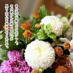 SL0264　お正月「迎春」アレンジ ＜ポンポン＞2026