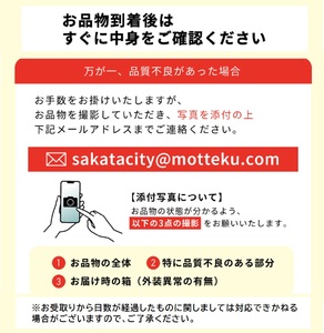 SE0316　【3回定期便】酒田の季節のフルーツ頒布会 Ｃコース2025 (大玉メロン、刈屋梨、庄内柿)