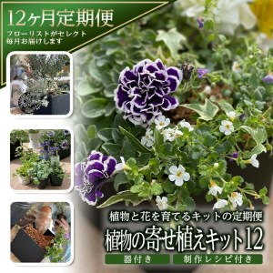 Sl0094 12回定期便 植物と花を育てるキットの定期便 植物の寄せ植えキット スクエア12 山形県酒田市 ふるさと納税サイト ふるなび