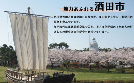 SA2436　【山形県産つや姫使用】バラちらし寿司　1個(2～3人前) 