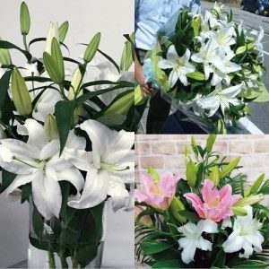SBT0014 【12回定期便】オリエンタルユリの花束