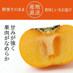 SZ0237　酒田の秋の味覚　あまくて美味しい庄内柿(種なし柿) 秀品　約3kg(18玉以上)