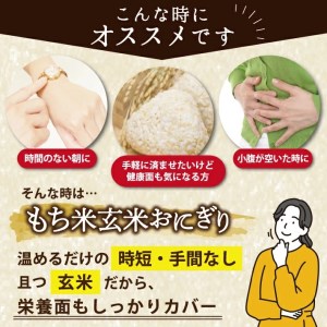 SC0282 【3回定期便】もち米 玄米おにぎり プレーン15個×3回(計45個)