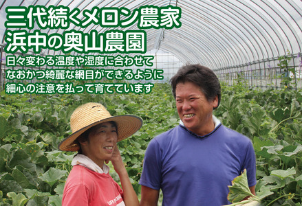 SA2962　庄内砂丘メロン アンデスメロン(青肉) 大玉2玉　計3.6kg以上　つる付き