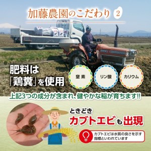SA2066　令和6年産【玄米】特別栽培米 雪若丸　10kg(5kg×2袋)「農家直送」 KA